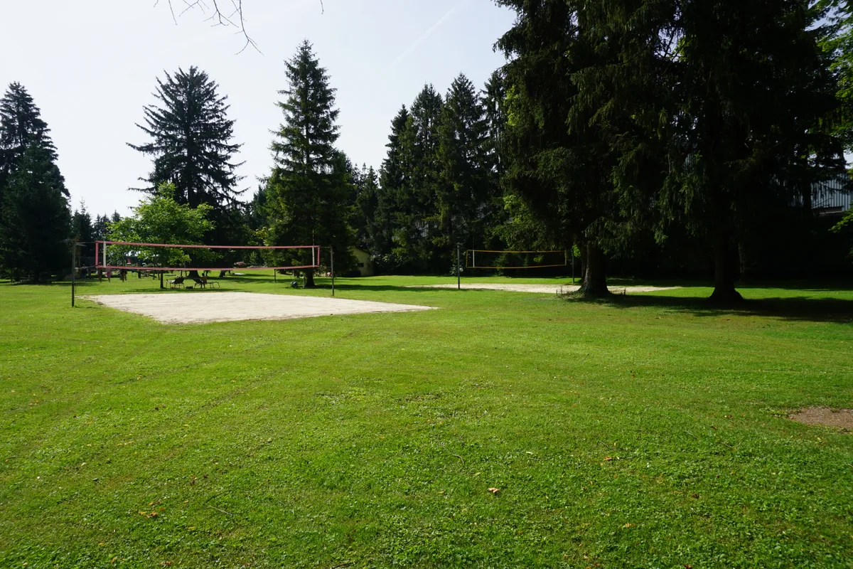 Grüne Wiese mit Bäumen